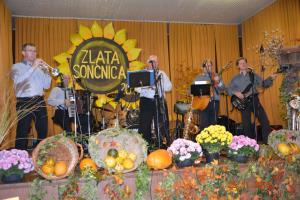 Zlata sončnica 2017